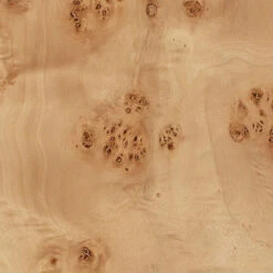 Parallel 63.25 Inch 150 Watt Natural Burl Wood Floor Lamp Portable Light -Outlet Jamie Aura Store 1parall flna 3 1