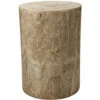 Agave 17.75 X 12 Inch Natural Wood Side Table