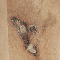 Dylan 19 X 13 Inch White Wash Side Table 10 Dylan 19 X 13 Inch White Wash Side Table -Outlet Jamie Aura Store 20dyla stww 3