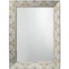 Fragment 48 X 36 Inch Light Grey & Beige Faux Horn Mirror