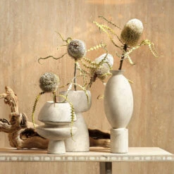 Anatomy 11.75 X 6 Inch Vase -Outlet Jamie Aura Store 7anat vaow 9