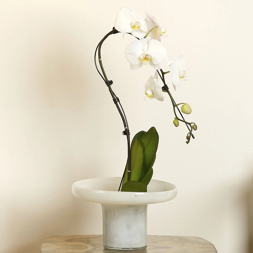 Bloom 9.5 X 7 Inch Vessels, Set Of 3 8 Bloom 9.5 X 7 Inch Vessels, Set Of 3 - Image 8