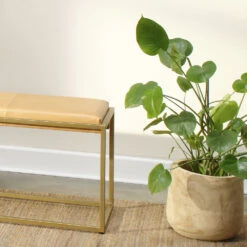 Brea 13.5 X 12 Inch Wooden Vase -Outlet Jamie Aura Store 7brea vawd 4