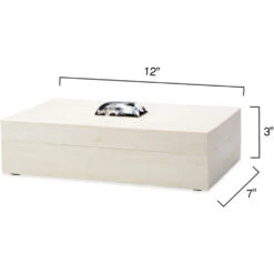 Constantine 12 X 7 Inch Cream Resin W/ Horn Accent Large Rectangle Box -Outlet Jamie Aura Store 7cons bxcr 2