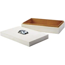 Constantine 12 X 7 Inch Cream Resin W/ Horn Accent Large Rectangle Box -Outlet Jamie Aura Store 7cons bxcr 5