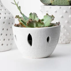 Lacerated 13 X 8 Inch Bowl -Outlet Jamie Aura Store 7lace bowh 8