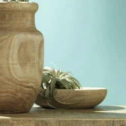 Laurel 17 X 4.5 Inch Wooden Bowl -Outlet Jamie Aura Store 7laur smwd 6