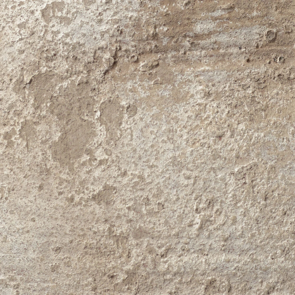 Root 15.75 X 8.5 Inch Decorative Vase 4 Root 15.75 X 8.5 Inch Decorative Vase - Image 4