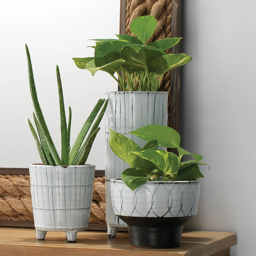 Striae 12 X 5 Inch Vessels, Set Of 3 2 Striae 12 X 5 Inch Vessels, Set Of 3 - Image 2