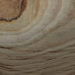 Topanga 22 X 16 Inch Wooden Vase -Outlet Jamie Aura Store 7topa vawd 3