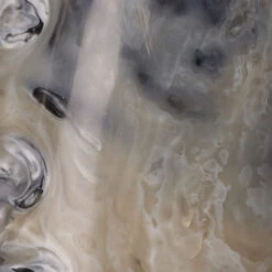 Varigated Horn Swirled Cream And Black And Grey Resin Decorative Objects, Set Of 3 11 Varigated Horn Swirled Cream And Black And Grey Resin Decorative Objects, Set Of 3 -Outlet Jamie Aura Store 7vari obgr 3