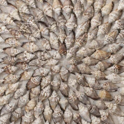 Riviera Off White & Brown Framed Wall Art -Outlet Jamie Aura Store 8rivi besi 3